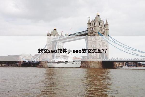 软文seo软件，seo软文怎么写
