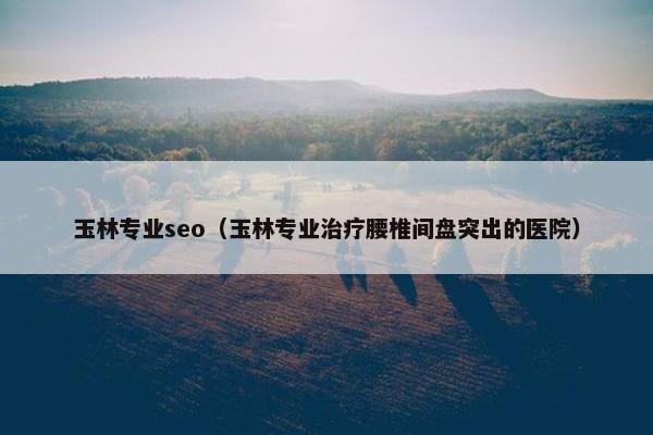 玉林专业seo（玉林专业治疗腰椎间盘突出的医院）
