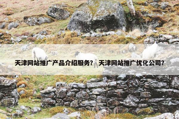 天津网站推广产品介绍服务？ 天津网站推广优化公司？