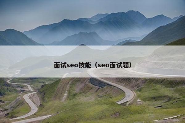 面试seo技能（seo面试题）