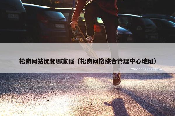 松岗网站优化哪家强（松岗网格综合管理中心地址）