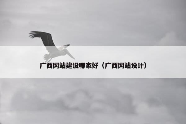 广西网站建设哪家好（广西网站设计）