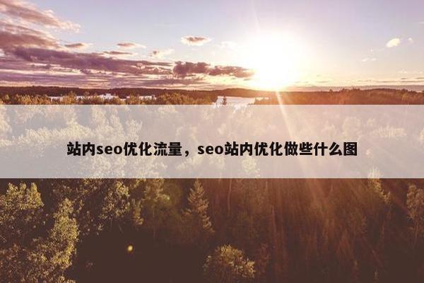 站内seo优化流量，seo站内优化做些什么图