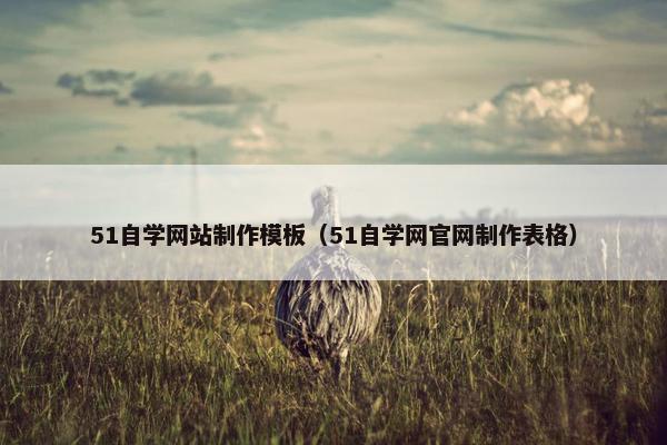 51自学网站制作模板（51自学网官网制作表格）