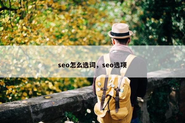 seo怎么选词，seo选项