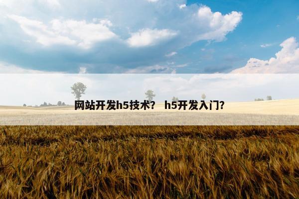 网站开发h5技术？ h5开发入门？