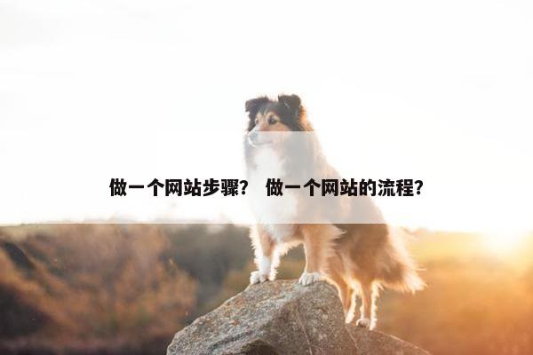 做一个网站步骤？ 做一个网站的流程？