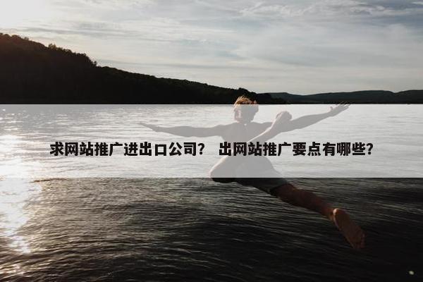 求网站推广进出口公司？ 出网站推广要点有哪些？