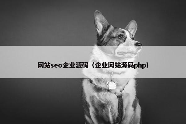 网站seo企业源码（企业网站源码php）