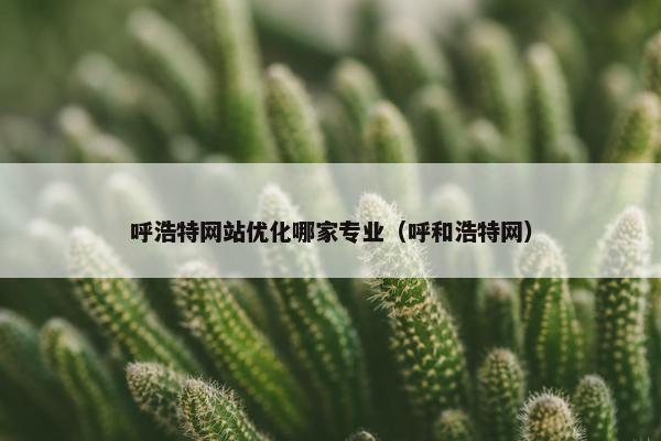 呼浩特网站优化哪家专业（呼和浩特网）