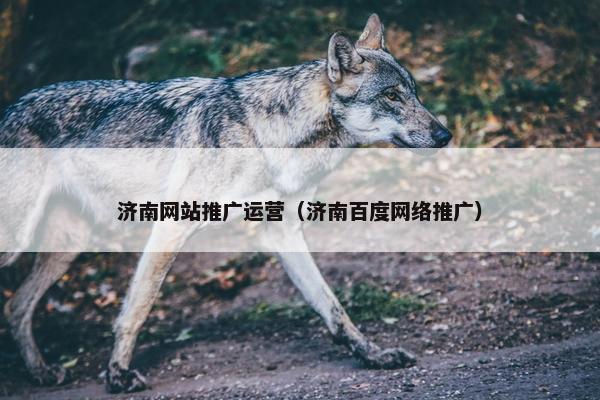 济南网站推广运营（济南百度网络推广）