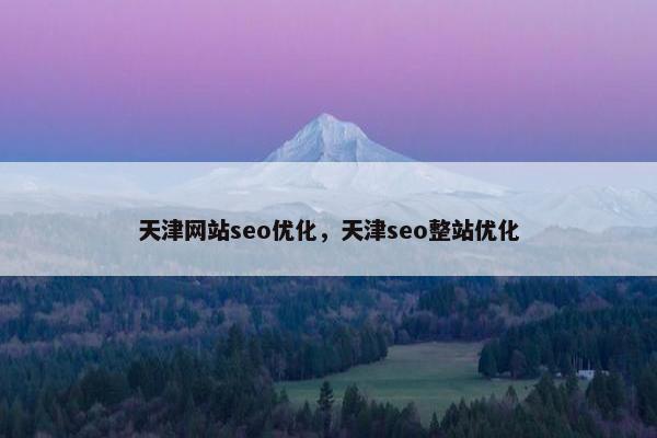天津网站seo优化，天津seo整站优化
