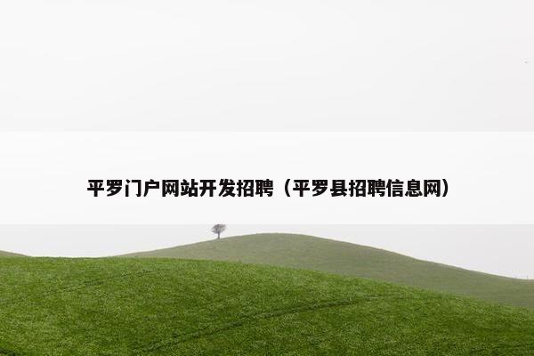 平罗门户网站开发招聘（平罗县招聘信息网）