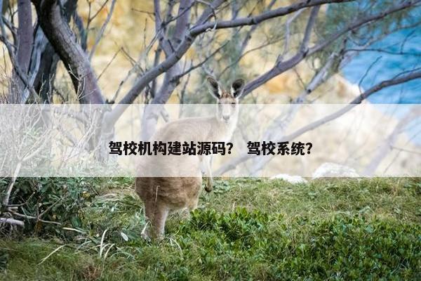驾校机构建站源码？ 驾校系统？