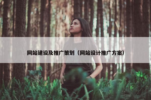 网站建设及推广策划（网站设计推广方案）