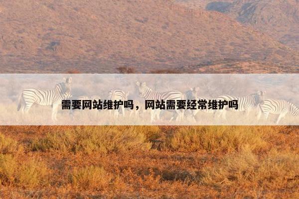 需要网站维护吗，网站需要经常维护吗