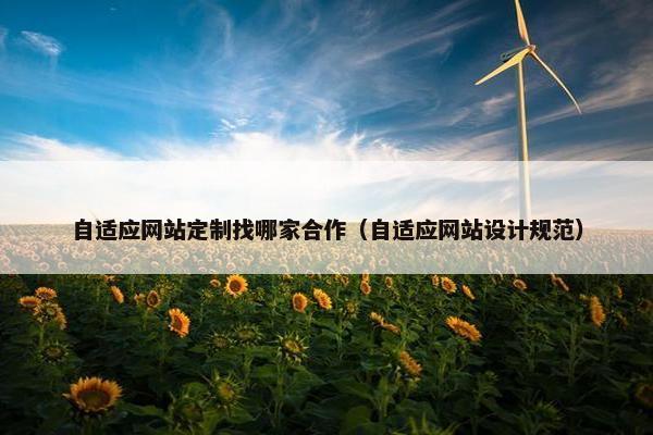 自适应网站定制找哪家合作（自适应网站设计规范）