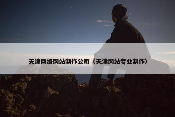 天津网络网站制作公司（天津网站专业制作）