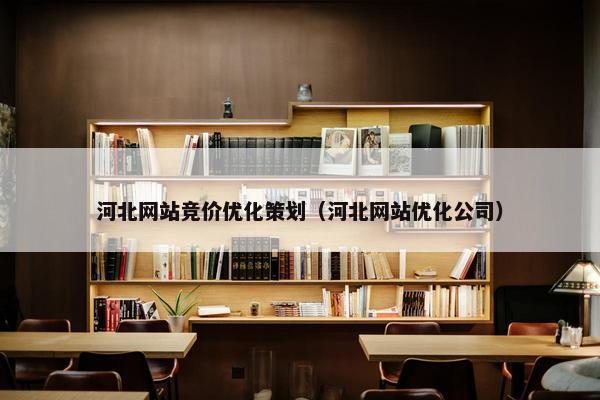 河北网站竞价优化策划（河北网站优化公司）