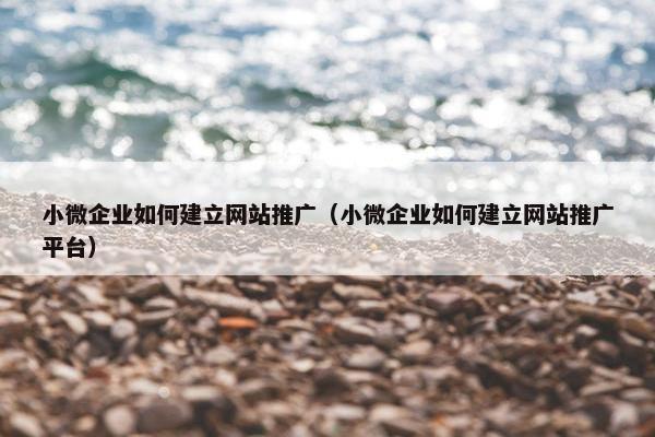 小微企业如何建立网站推广（小微企业如何建立网站推广平台）
