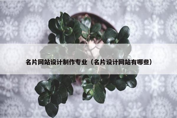 名片网站设计制作专业（名片设计网站有哪些）