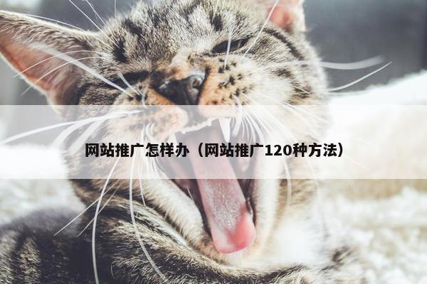 网站推广怎样办（网站推广120种方法）