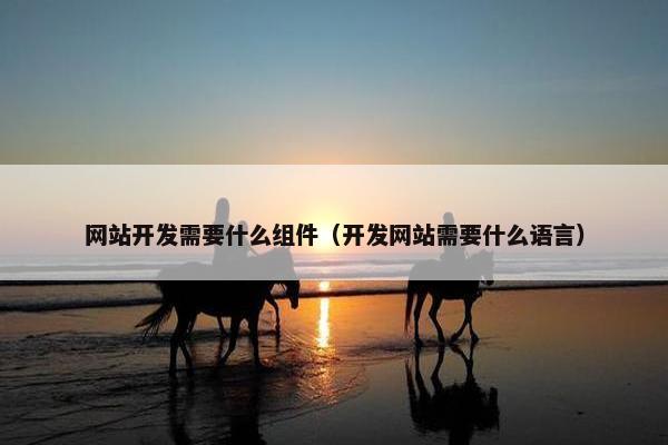 网站开发需要什么组件（开发网站需要什么语言）