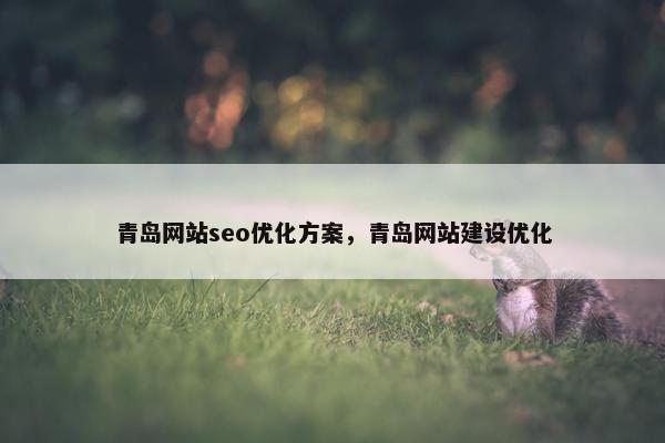 青岛网站seo优化方案，青岛网站建设优化
