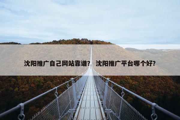 沈阳推广自己网站靠谱？ 沈阳推广平台哪个好？