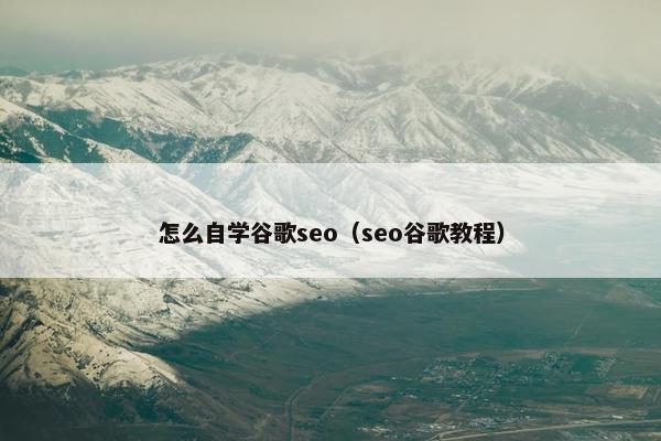怎么自学谷歌seo（seo谷歌教程）