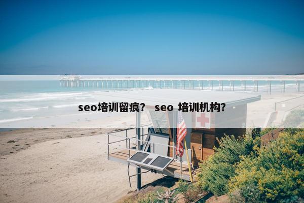 seo培训留痕？ seo 培训机构？