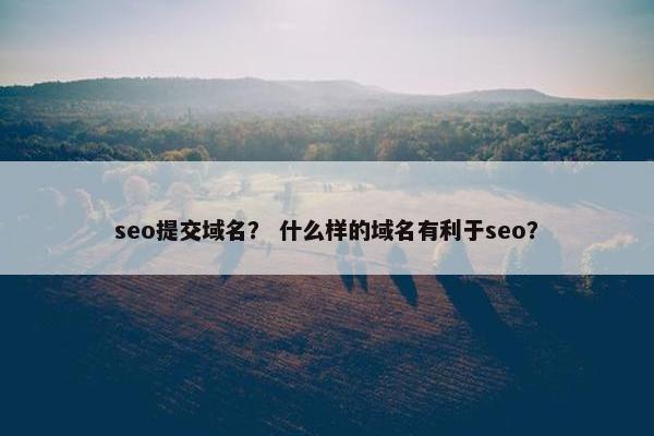 seo提交域名？ 什么样的域名有利于seo？
