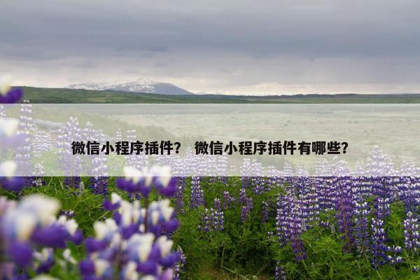微信小程序插件？ 微信小程序插件有哪些？