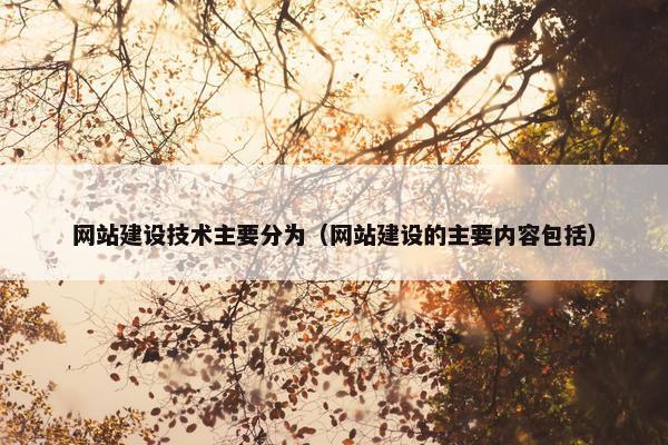 网站建设技术主要分为（网站建设的主要内容包括）