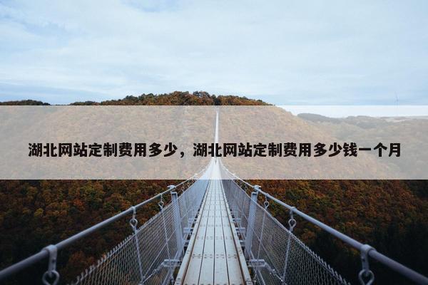 湖北网站定制费用多少，湖北网站定制费用多少钱一个月
