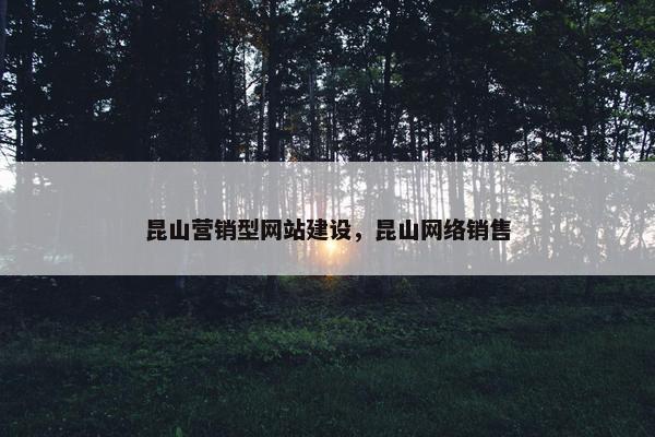 昆山营销型网站建设，昆山网络销售