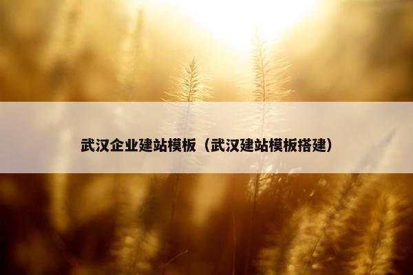 武汉企业建站模板（武汉建站模板搭建）