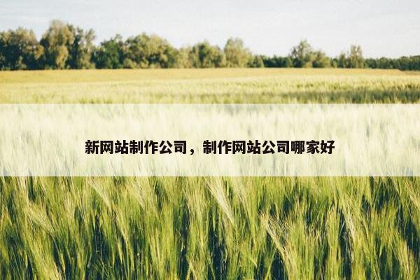 新网站制作公司，制作网站公司哪家好