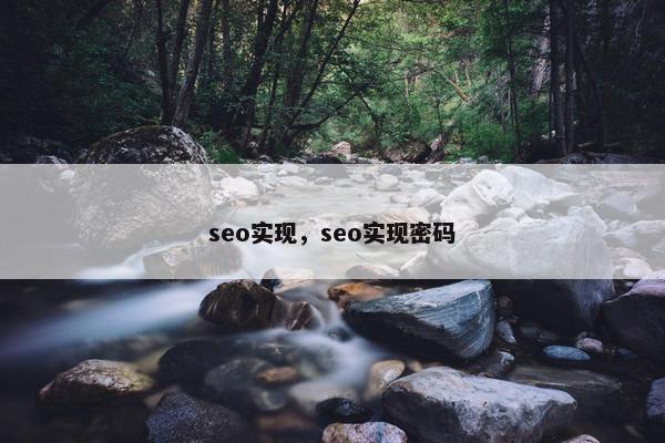 seo实现，seo实现密码