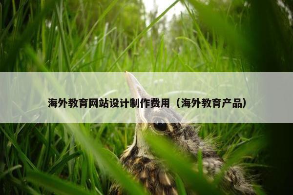 海外教育网站设计制作费用（海外教育产品）