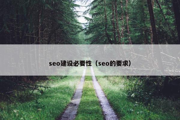 seo建设必要性（seo的要求）