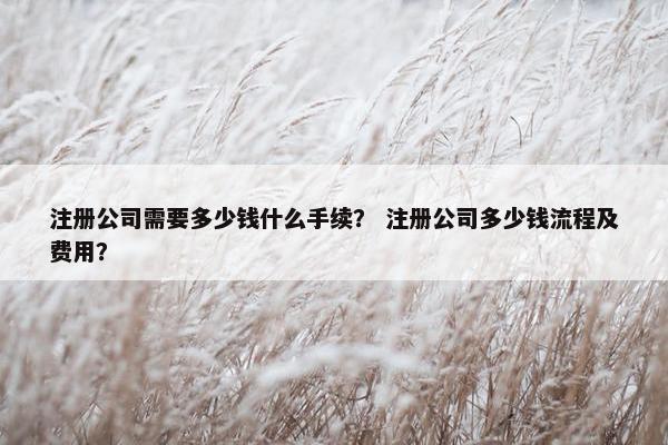 注册公司需要多少钱什么手续？ 注册公司多少钱流程及费用？