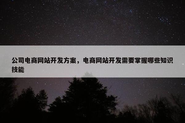 公司电商网站开发方案，电商网站开发需要掌握哪些知识技能