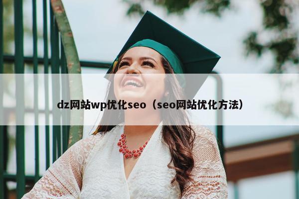 dz网站wp优化seo（seo网站优化方法）