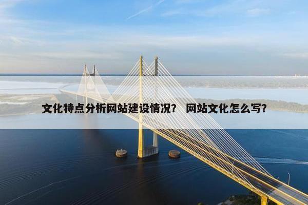 文化特点分析网站建设情况？ 网站文化怎么写？