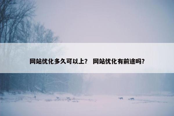 网站优化多久可以上？ 网站优化有前途吗？