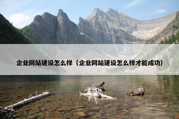 企业网站建设怎么样（企业网站建设怎么样才能成功）