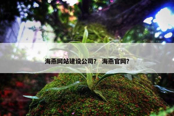 海燕网站建设公司？ 海燕官网？