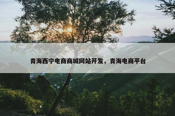 青海西宁电商商城网站开发，青海电商平台