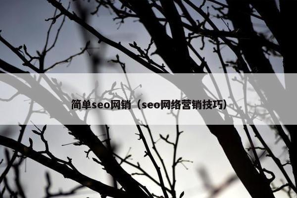 简单seo网销（seo网络营销技巧）